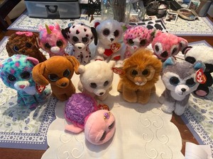 Beanie Boo 2015 Lot, Total 13 Beanie Boos 6”, 3 without tags.