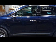 Driver Left Front Door LWB Fits 13-19 SANTA FE 1062032