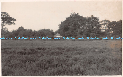 R507025 Meadow Unknown old house Vandyke Studios