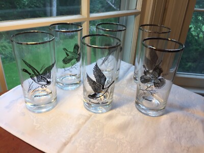 Vintage Set 6 Game Bird Glasses, Ring Neck Pheasant,  Canada Goose, Ducks 12oz