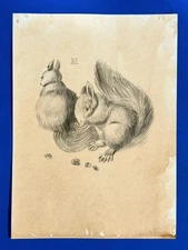 Alberto Durero (Handmade) Drawing on antique paper Signed and Sealed.