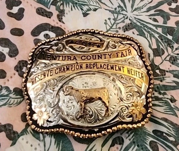Gist Silversmith Ventura  Coutry Fair belt  Buckle 2011 Free Shipping USA OBO