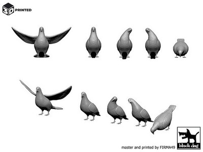 Black Dog 1/35 Pigeons in Various Poses Assorted Pigeon Dove Set (10pcs) 3D35004