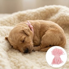 Adjustable Pink Puppy Identification Collars Cotton for Newborn Pets Comfort Fit