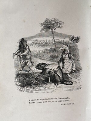 GRAVUR FABEL VON FLORIAN ZEICHNUNG JJ GRANDVILLE '' L'HERMINE LE BIBER LE SANGLI ''
