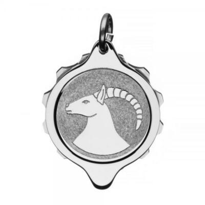 SOS Talisman Anhänger Edelstahl, Sternzeichen Steinbock