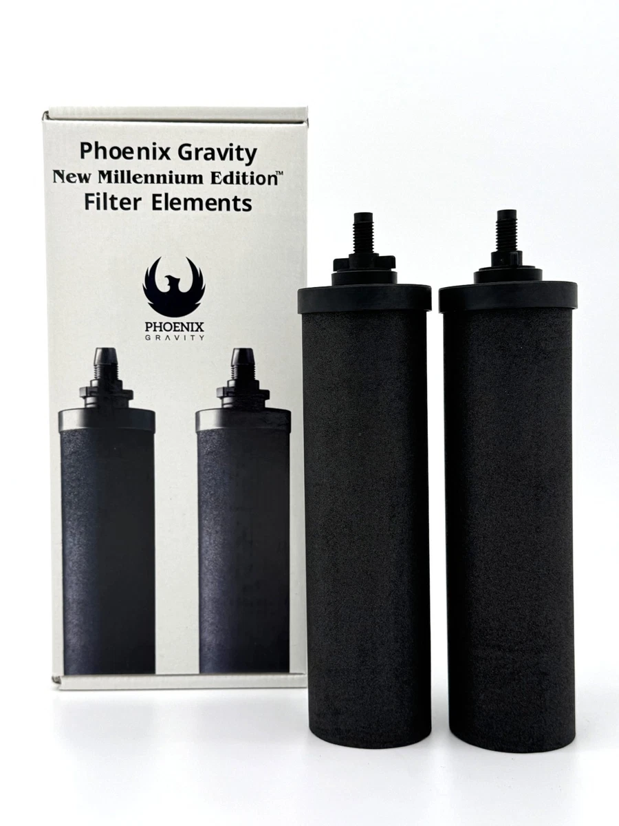 Berkey Black 2 Number in Pack Water Filters for sale | eBay