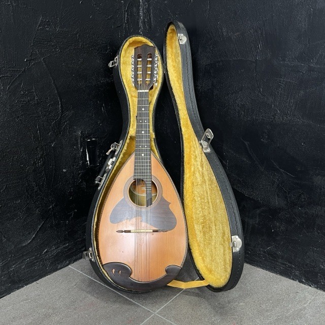 SUZUKI VIOLIN M-218 1974 Mandolin [Used] Musical instrument with hard case