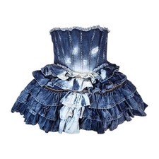Vintage 2010 Runway D&G Denim Corset Dress Archive Rare Collector's