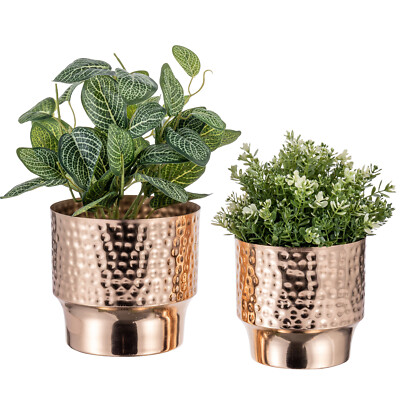 plant pot for sale Tunisian White Clay, Emerald Planter (Two-Sizes: 12