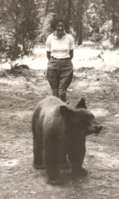 1920s Bear & Young Woman Photo in Yosemite Calif #5 UP CLOSE Too Close 2 Pics