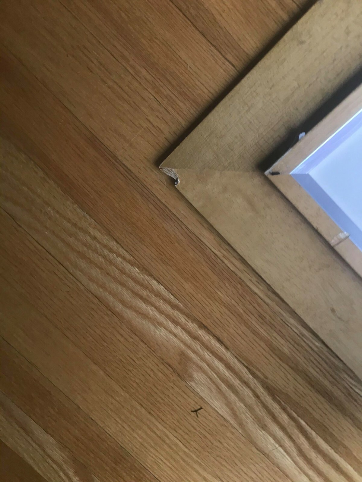Picture 4 of 4