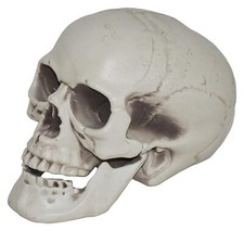 Halloween Horror Skull Ornament Garden Yard Lawn Decoration For Festival Prank