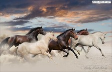 NORTHCOTT "MAVERICK" DP23614-12 GALLOPING HORSES FABRIC PANEL 28"X43"