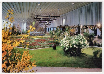 Postcard Berlin/International Green Week, Hall with Forsythia and Tulips, 1971 