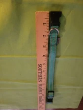 New Joytale Xsmall Dog Collar 12" & Less Teal Nylon Reflective