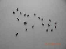 BRASS ROUND HEAD SLOTTED MACHINE SCREWS. 4/40 x 1/4" 30 PCS. NEW