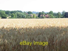Photo 6x4 Wheat field near Ramshurst Manor Barden Park A golden field of  c2005