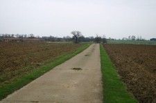 Photo 6x4 Lane up to Park Farm Ramsey/TL2885 Lane and footpath up to Par c2008