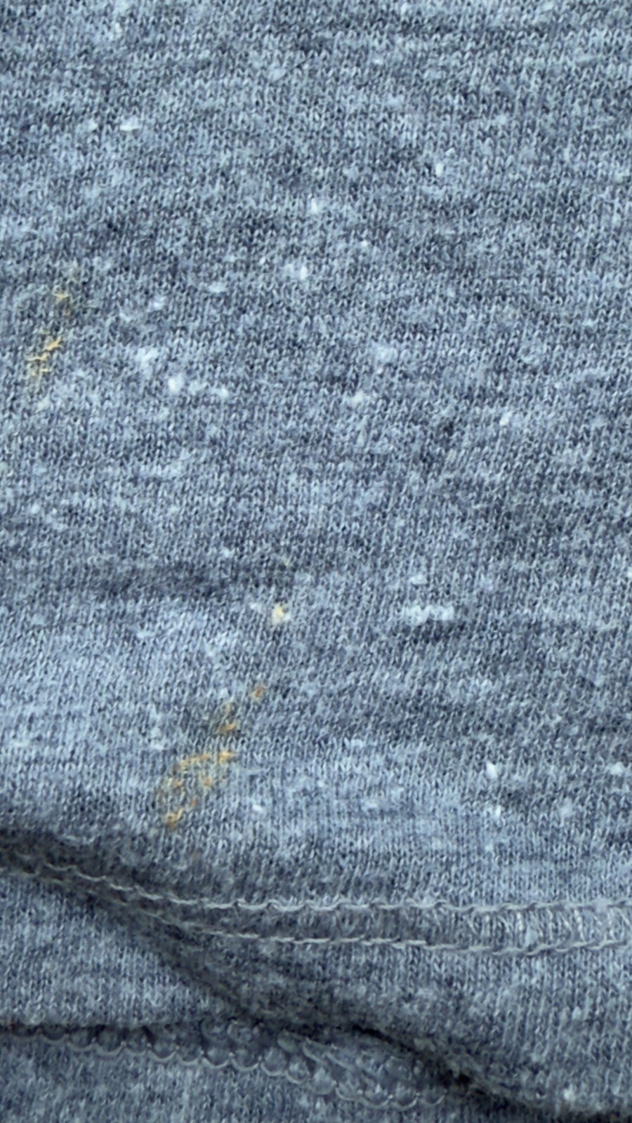 Picture 10 of 13