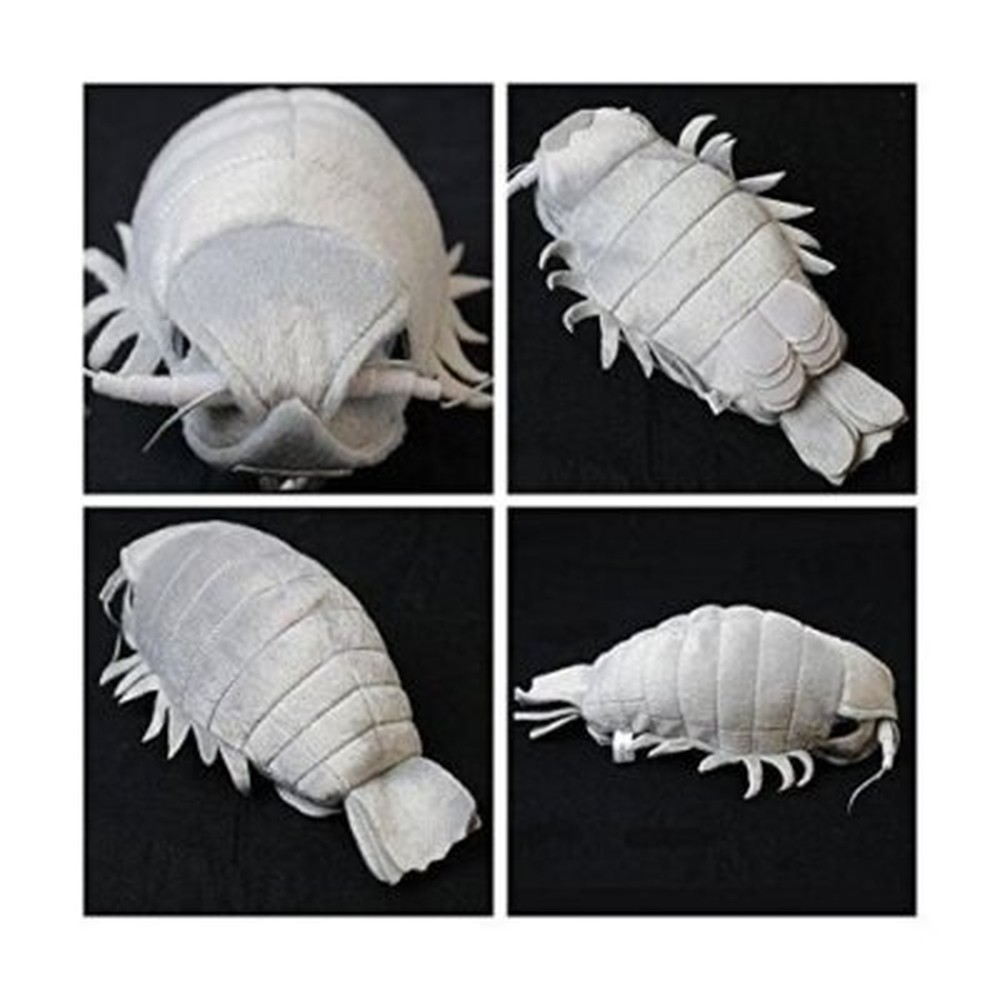 Sea Creature Giant Isopod Realistic Stuffed Plush Toy M Size 20cm JAPAN IMPORT