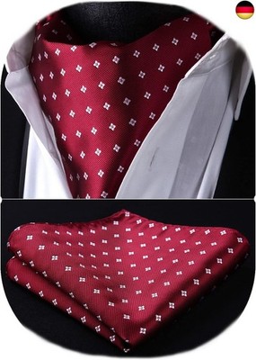 HISDERN Herren Krawattenschal Floral Paisley Ascot Krawatte Hochzeit Business