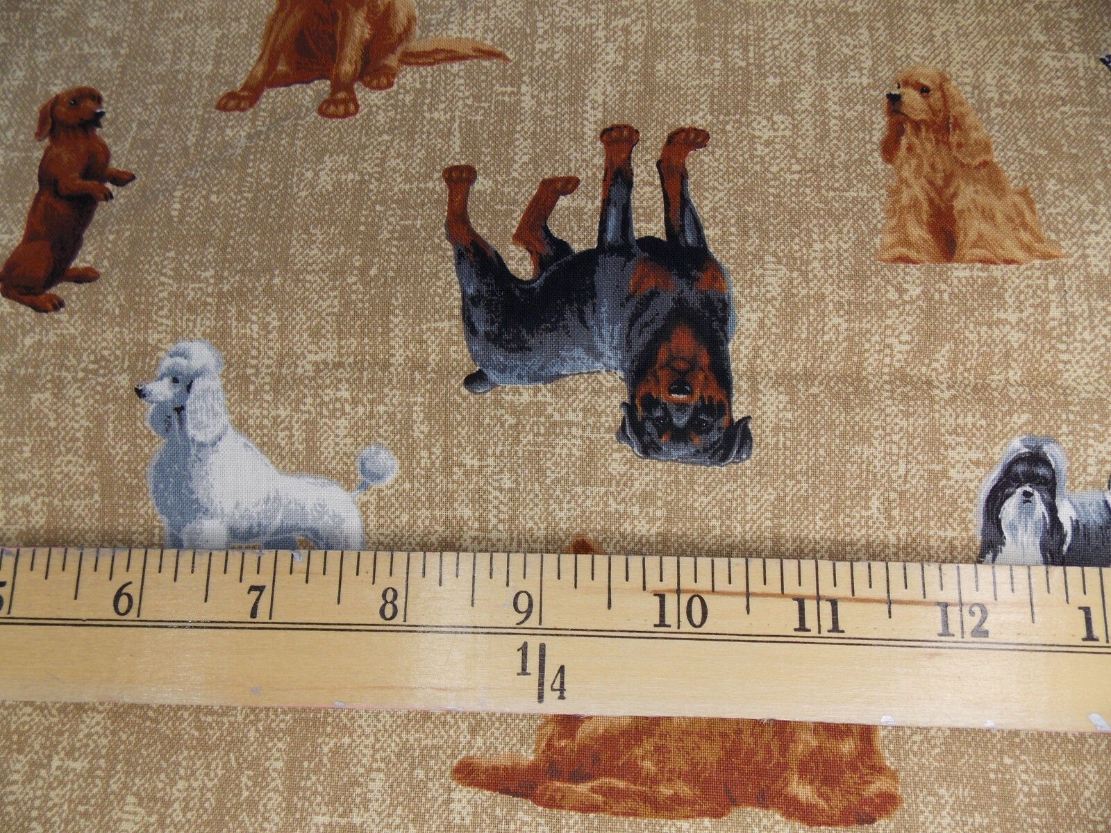 Picture 3 of 8