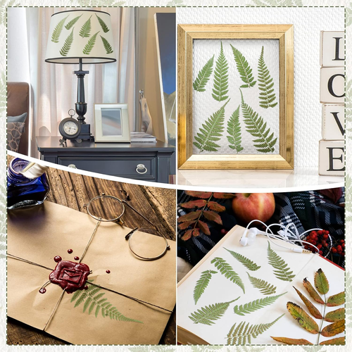 200 Pcs Pressed Dried Flowers Leaves Real Natural Ferns Dried Leaves - Afbeelding 6 van 7