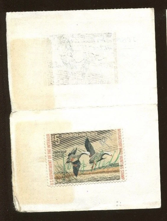 CALIFORNIA 1972 Resident Hunting License W/ RW39 + CA#2 Used - 678 - Image 2 of 2