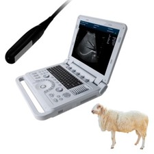 Veterinary Ultrasound Scanner PW Doppler Ultrasonido veterinario Horse Cow Sheep