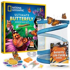 National Geographic Ultimate Butterfly Growing Kit One Size, Multicolor