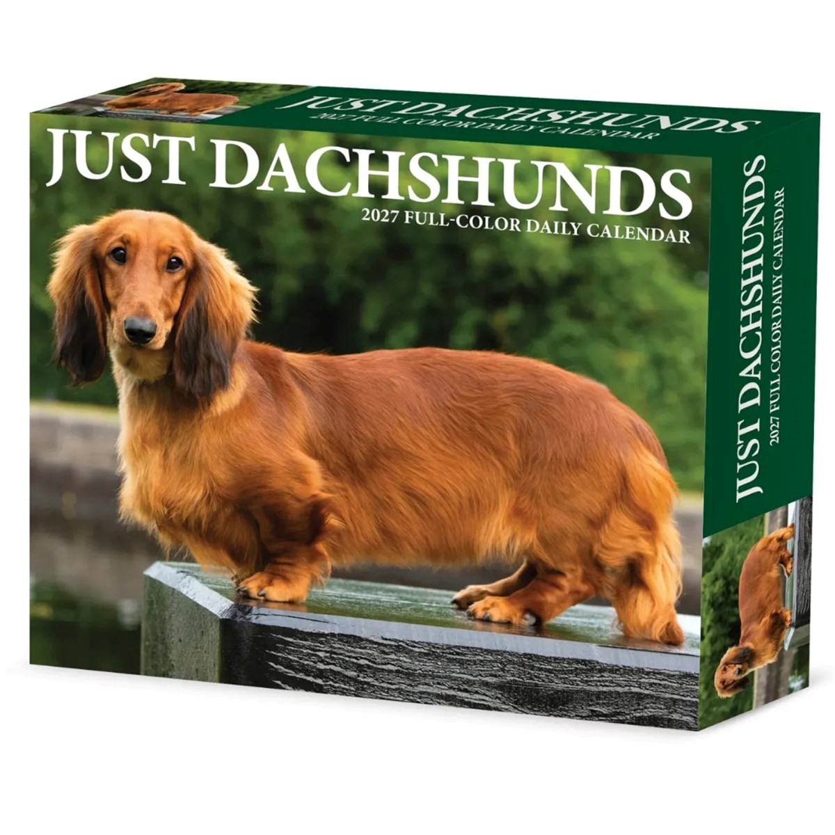 Just Dachshunds Desk Calendar 2027, Desk Calendars, Day To View, Dogs, Gift - Image 6