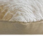 Ivory Velvet Lumbar Pillow Cover - Spotted Coral Ivory