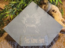 XXL Large Personalised Laser Engraved Axolotl Slate Corner Cave Hide Hideout