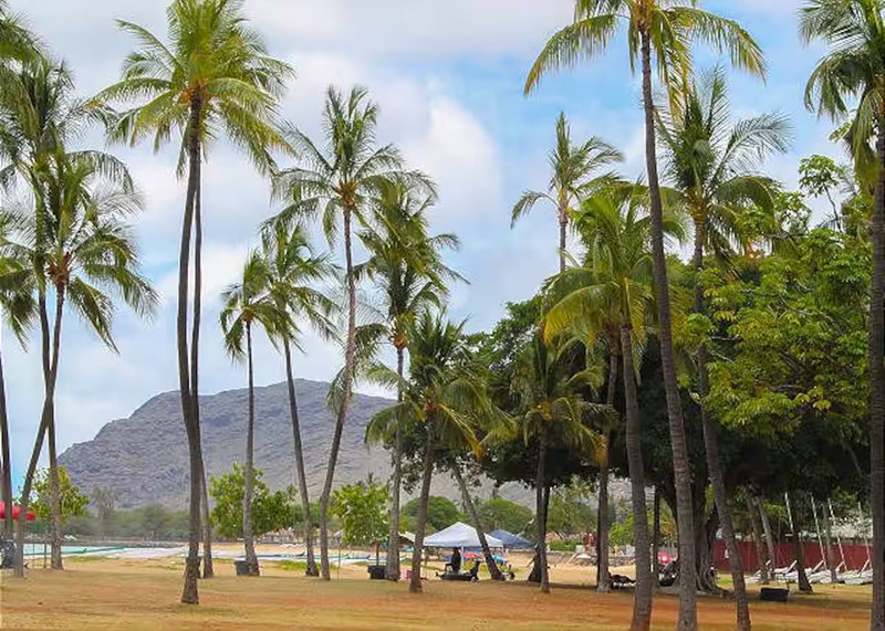 Endless Summer 4th of July Week — Oceanview Beach House Oahu