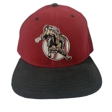 Vintage Minor League Baseball Hat Cap Snap Back Mens One Size MILB New Era 90s