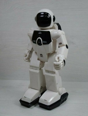 max robot toy