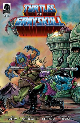 MOTU/TMNT: Turtles of Grayskull #2 Rooth Exclusive Set 11/13/24