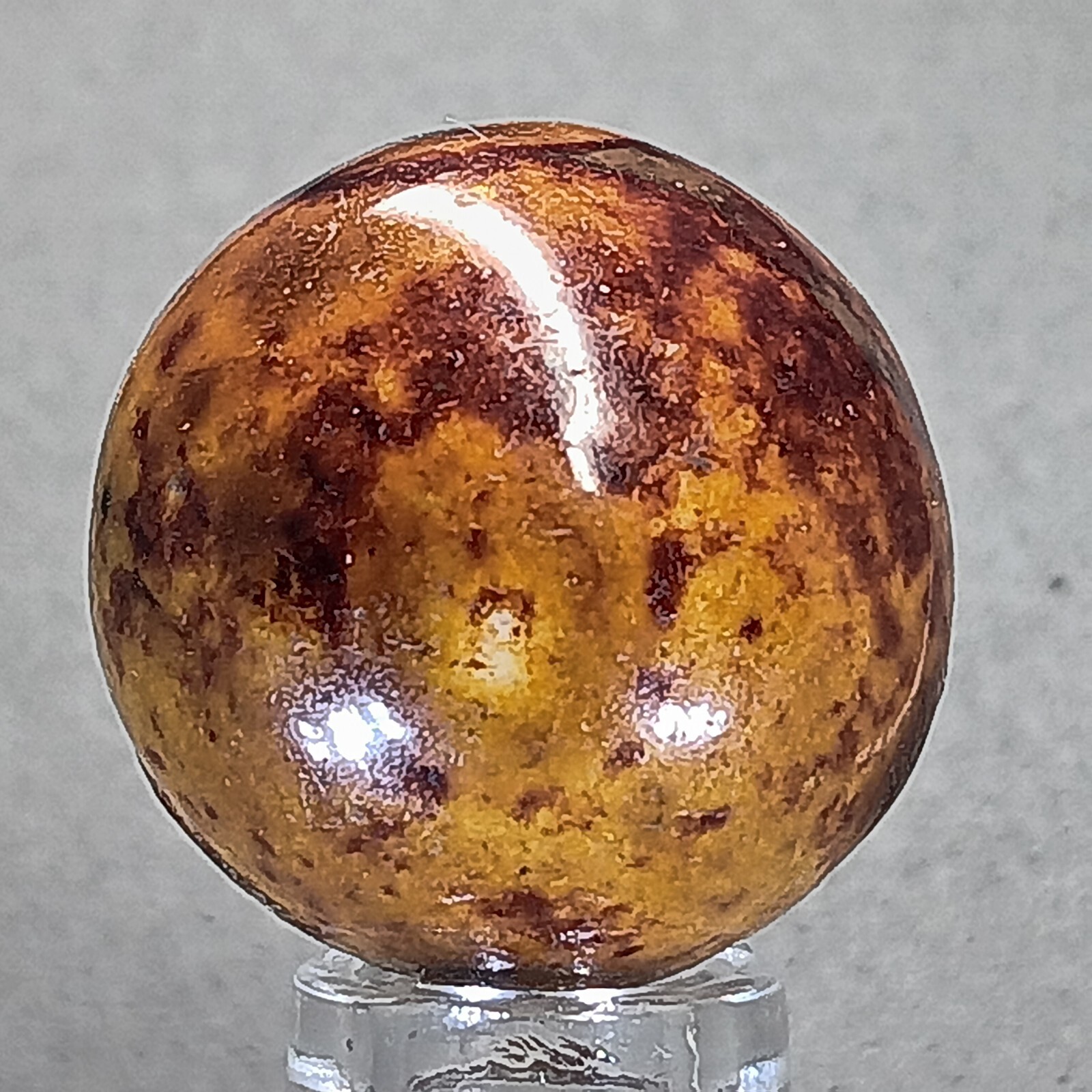 Picture 2 of 13