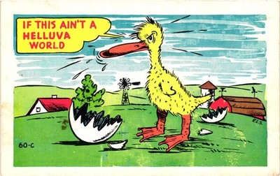 Vintage Comic Postcard Laff Gram Funny Duck Helluva World Cartoon Linen