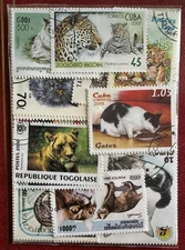 50 Different Worldwide Stamps – Cats, Big Cats & Felines Theme