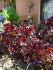 Bild 24 von 24