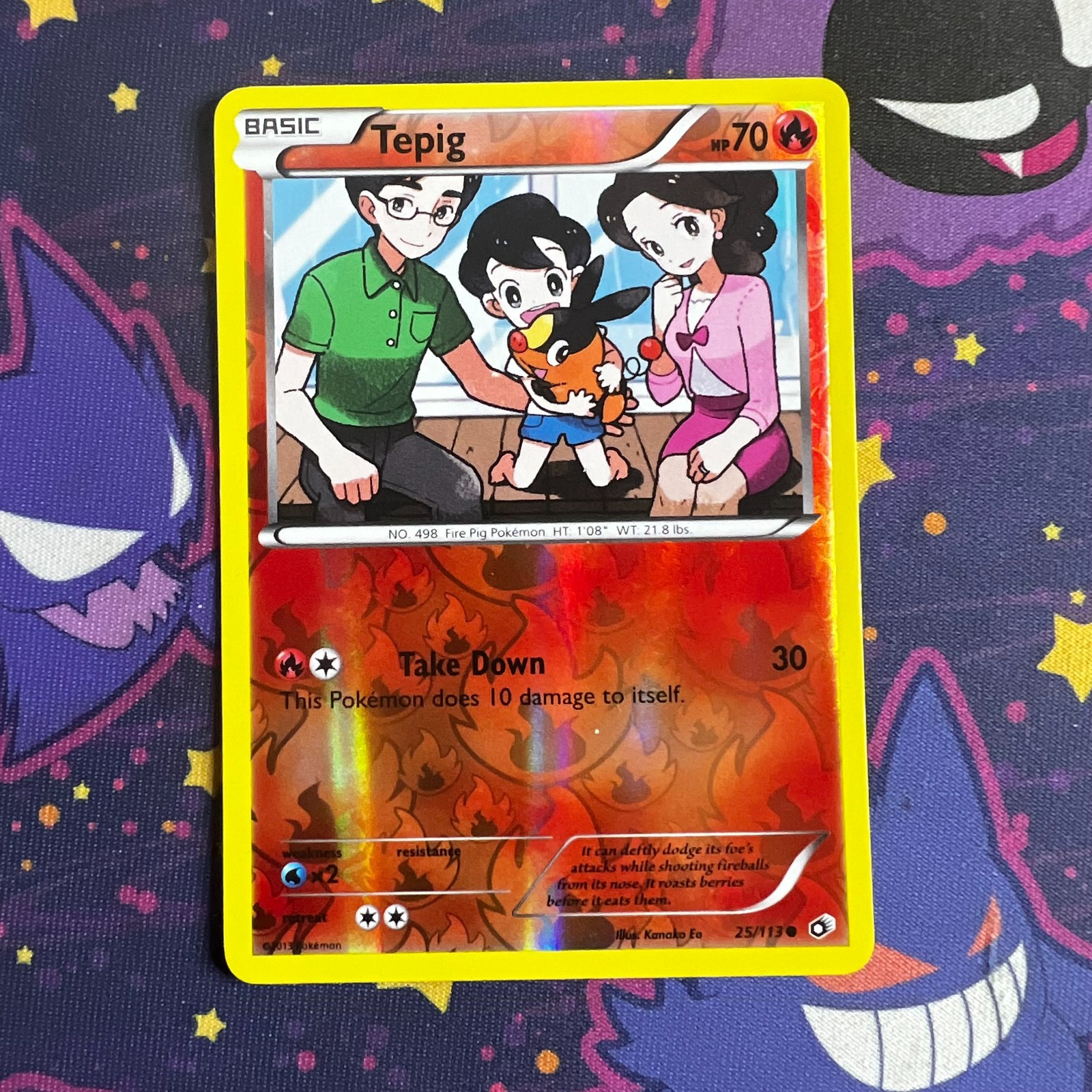 Pokémon Tepig 25/113 Legendary Treasures Reverse Holo Common LP
