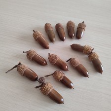 50 Pcs Hand Polished Real Dried Long And Thick Acorns  Natural Baked Acorns