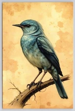 Bluebird on Branch Artistic Postcard New UNP #20261