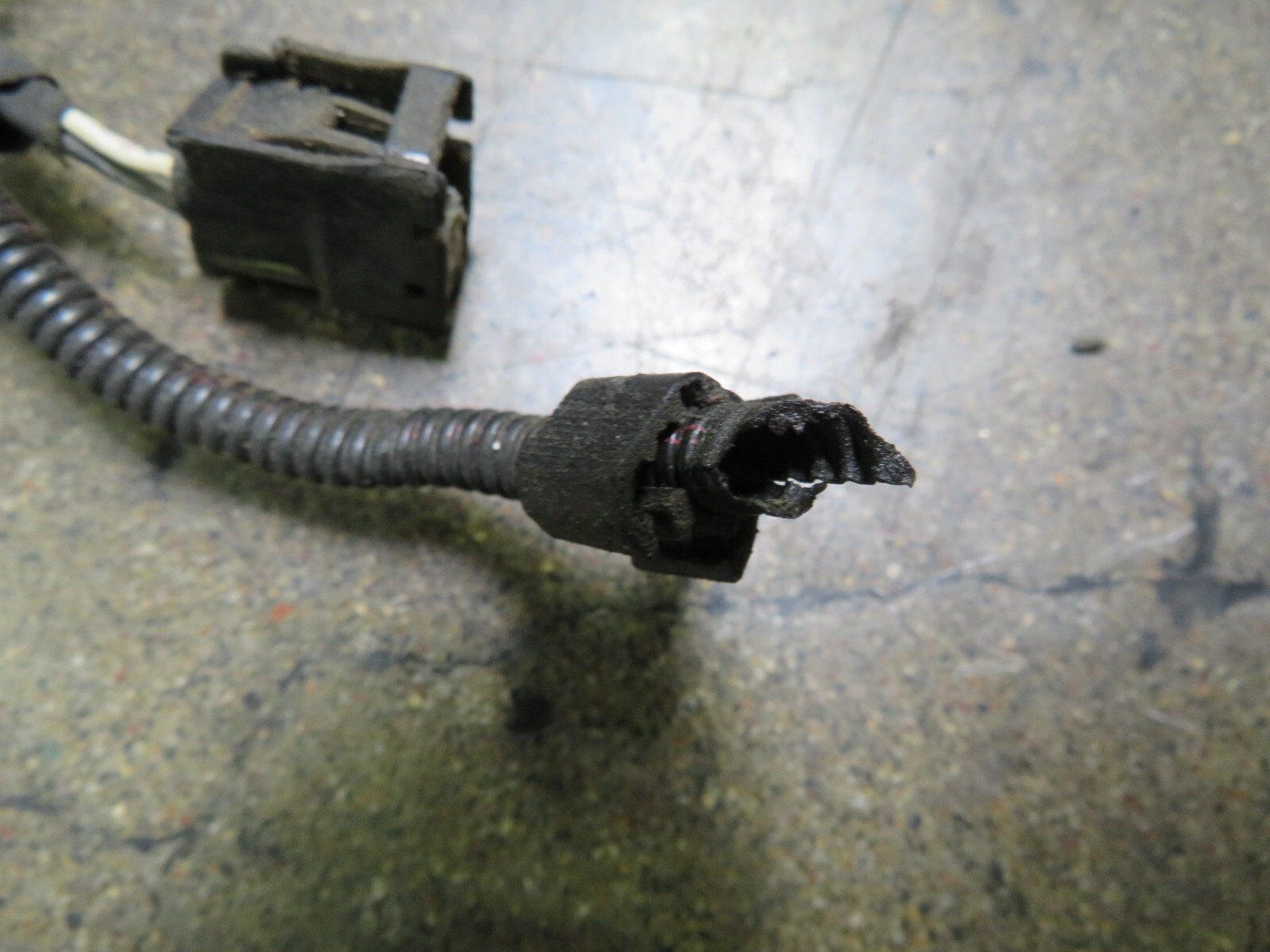 Maserati Ghibli, Engine Wire Harness, Missing Plugs, Used, P/N 339929