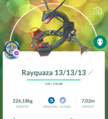 Shiny Rayquaza LeveI 50  3 moveset have Dragon Ascent - Trade - Read Description