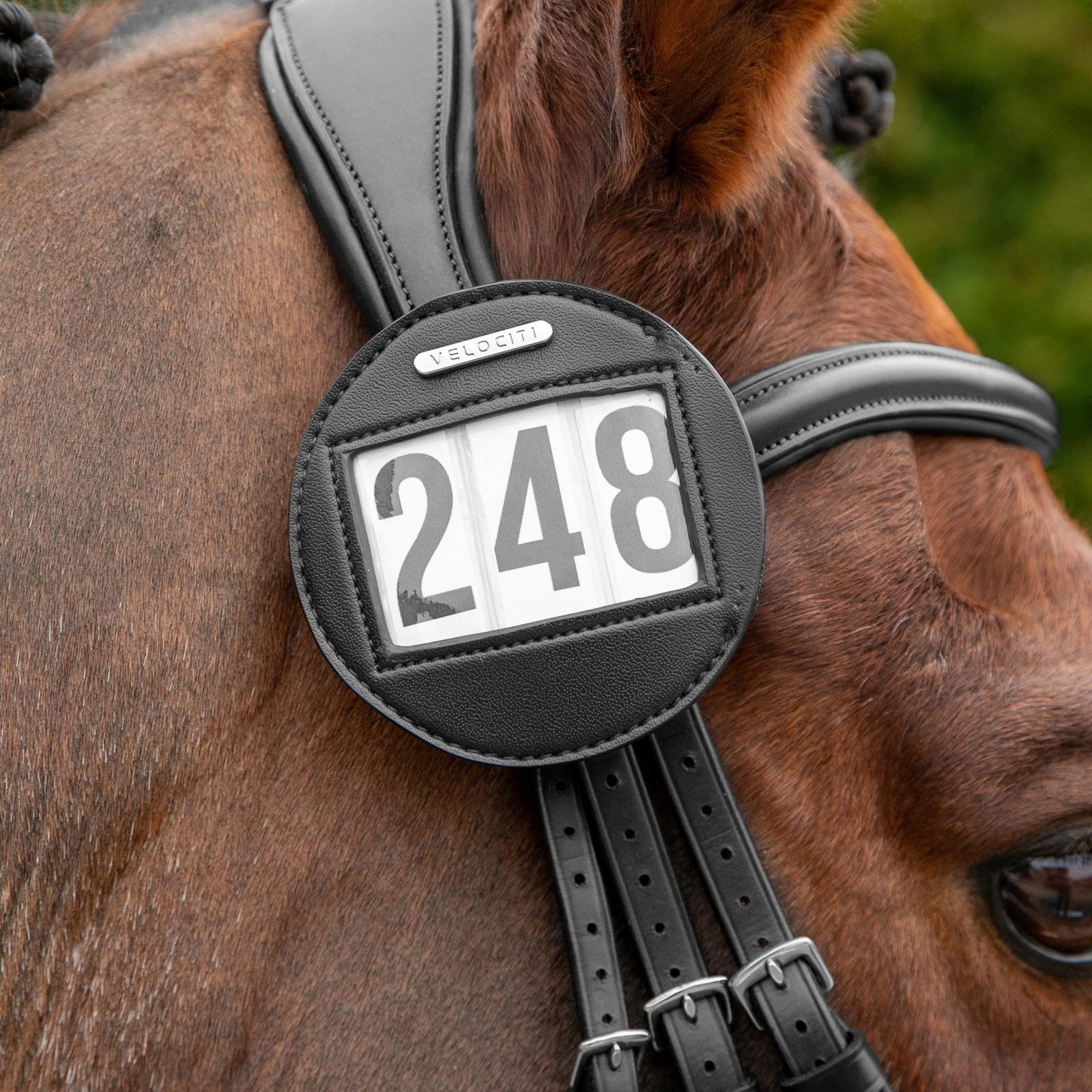 Shires Velociti Bridle Number Holder - Black | Equestrian Equipment