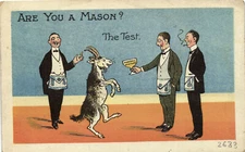 PC FREEMASONRY, HUMOR, ARE YOU A MASON, Vintage Postcard (b55842)