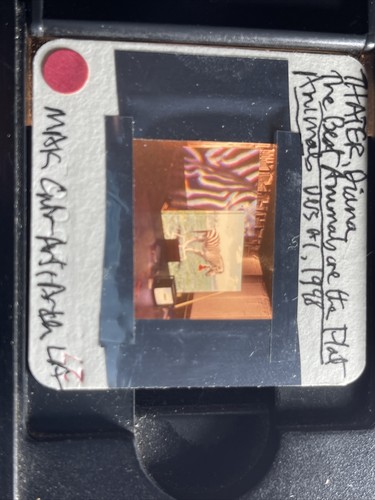 Diana Thater “Best Animals” Installation Video Art 35mm Slide - Picture 2 of 4